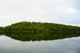 Concessão do Parque Estadual do Rio Doce será tema de audiência pública nesta quarta-feira (13/9)